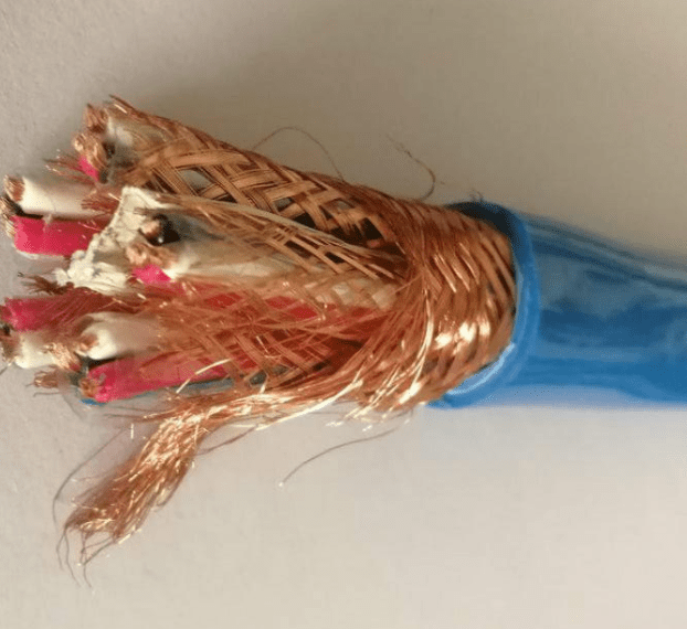 本安計算機(jī)電纜IA-DJYVP IA-DJYPV IA-DJYPVP